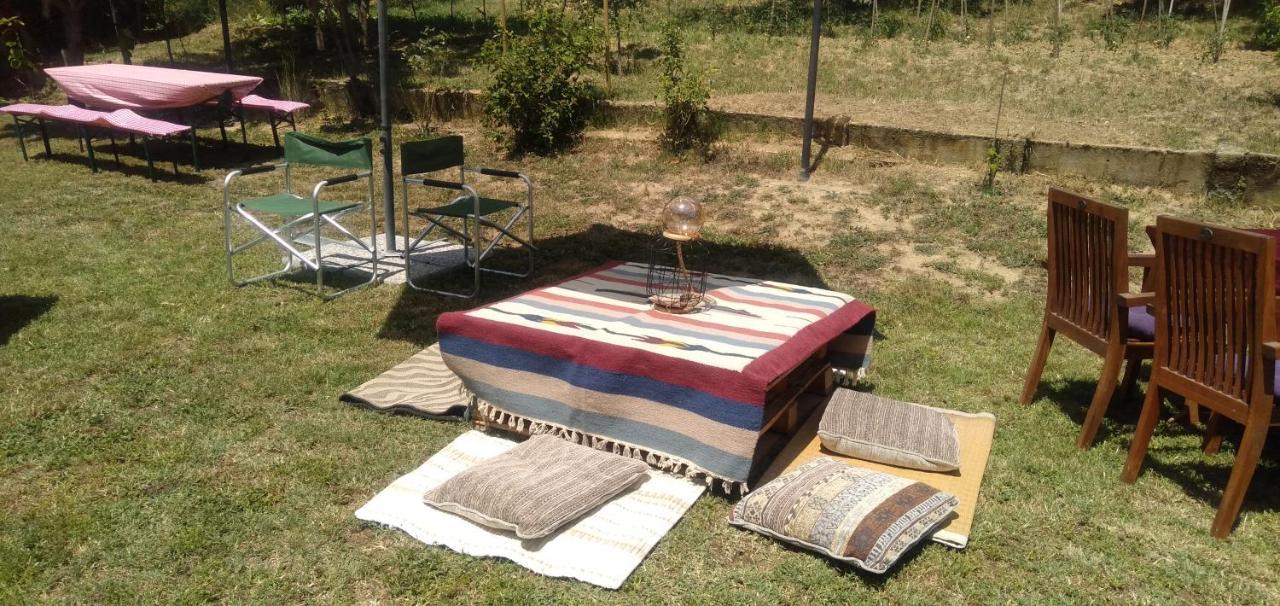 شقة La Casa Nel Sole أليساندريا المظهر الخارجي الصورة