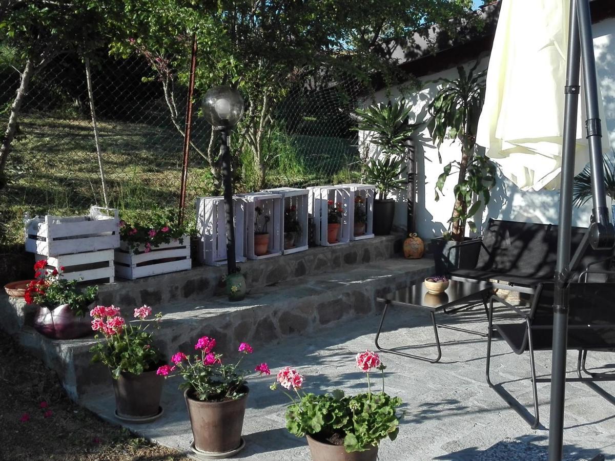 شقة La Casa Nel Sole أليساندريا المظهر الخارجي الصورة